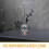 portacandele in trasparente con in forma 8