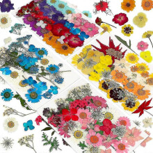 144pcs Natural Dried Pressed Flowers for Resin,for Candle,epoxy Resin