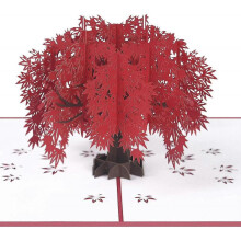 3d card, popup card with blooming red maple, 3d greeting card christmas with envelope gift