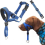 Dog Head Halter with Reflective Strap, Safety No-pull Dog Collar, Adjustable Harness TrainingBlueL 1