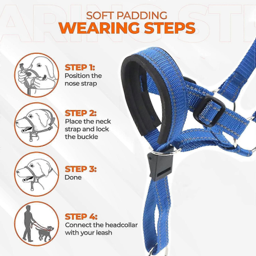 Dog Head Halter with Reflective Strap, Safety No-pull Dog Collar, Adjustable Harness TrainingBlueM 1