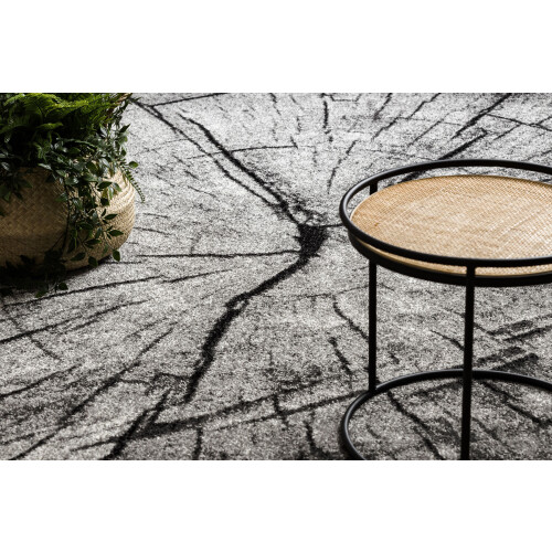 Carpet SILVER TRONKO Tree wood - grey 300x400 cm 2
