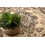 Carpet BCF Morad WIOSNA Ornament, classic - beige 60x110 cm 5