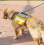 Pet Dog Saddle Bag Backpack Medium Large Dog Backpack Outdoor Hiking Camping Training Self Backpackblue 2
