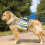 Pet Dog Saddle Bag Backpack Medium Large Dog Backpack Outdoor Hiking Camping Training Self Backpackblue 1