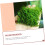 Stainless Steel Moss Net Pads 5Pcs For Aquarium Bendable Mesh For Java Moss Fine Mesh Screen For Aquatic Plants 3
