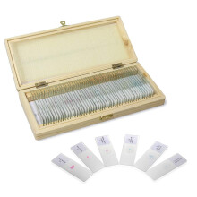 Basic Biology Prepared Microscope Slides With Specimen 50-Count Pack In Fitted Wooden Storage Box Model UHP1050