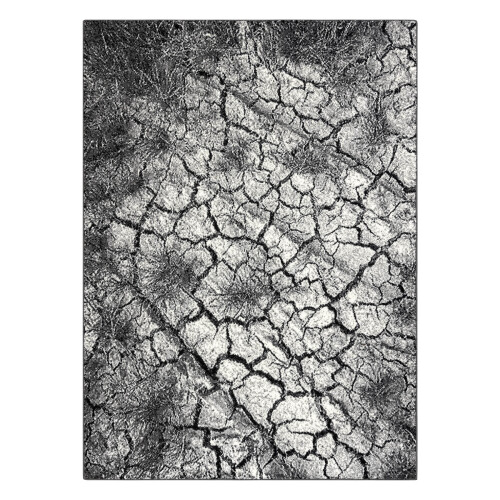 Carpet SILVER Terra cracked ground grey 160x220 cm 2
