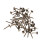 100 pz chiodi bronzo 6x14 mm rotonda 3