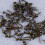 100 pz chiodi bronzo 6x14 mm rotonda 7