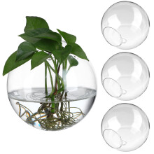 4Pcs Glass Propagated Plant Jars Wall Mounted Hangable Indoor Planters