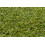 Mocheta gazon artificial, ALVA gata de dimensiuni 100x1000 cm 6