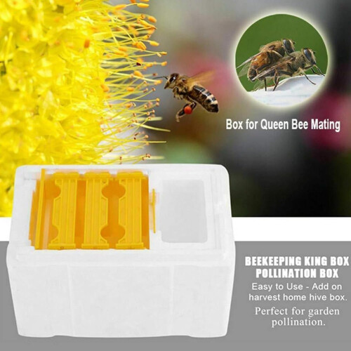 Foam Beekeeping Mating Box Tool Durable Foam Breeding Box For Back Feeding And Propagation 2