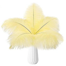 10pcs Ostrich Feathers Natural BulkBeige