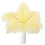 10pcs Ostrich Feathers Natural BulkBeige 1