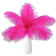 10pcs Ostrich Feathers Natural BulkPink