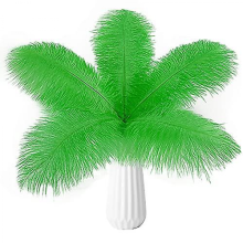 10pcs Ostrich Feathers Natural BulkGreen