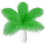 10pcs Ostrich Feathers Natural BulkGreen 1