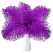 10pcs Ostrich Feathers Natural BulkPurple