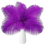 10pcs Ostrich Feathers Natural BulkPurple 1