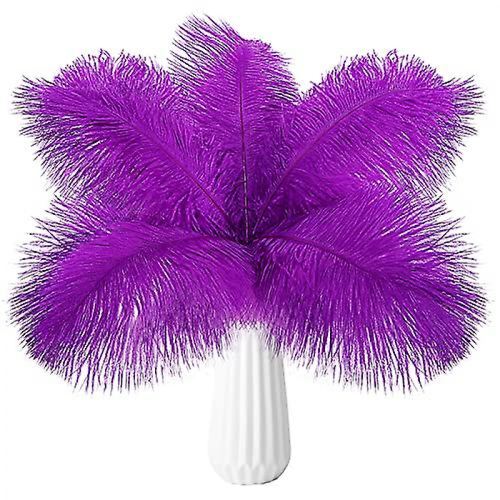 10pcs Ostrich Feathers Natural BulkPurple