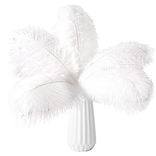 10pcs Ostrich Feathers Natural BulkWhite