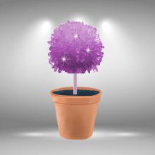 Crystal Growing Kit Science Explore Grow Your Own Crystals Toys For Boys & GirlsPurple