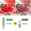 G9 LED Light Bulb 550-650LM Smart Lamp Bulb No Flicker Dimmable Lights with Remote Controller 3