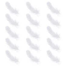 200 uds. plumitas exquisitas de pluma de cisne para boda y decoración
