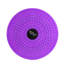 camping shovel  purple Physical Fitness Disk Work Out Board