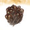 100 pfasanenfedern 4-8 cm für diy schmuckmaterial 6