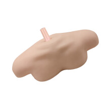 de hombro universal simulado con soporte estable