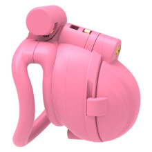 Breathable Chastity Lock For Men's Strength Training With Four Fixed Carabiners 42Mm 45Mm 48Mm 52Mm Pink Arc Rings