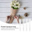 50 bustine cellophane con imballaggio e per fiori 9