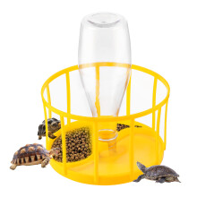 wasser feeder futterzubehör fressnapf für echse schildkröte gelb