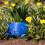 Planter Flower Pot For Succulents And Plants Blue Planter Medium Size 5