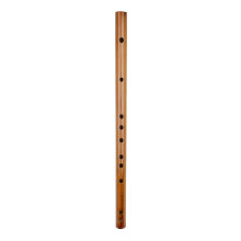 piccolo , praktisch muziekinstrument (toonaard G)