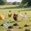 Chicken Poop Scooper Long Handle Practical Poultry Scooper For Poultry Farm Accessories 4