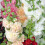Hollyhocks Double Mixed – A Timeless Garden Favourite 1