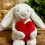 Hase Plüschtier mit Liebe Herz Design und PP Baumwolle als Geschenk Kinder 6
