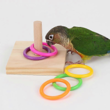 Bestes Puzzle-Spielzeug für Kinder, lustige Aktivität, Haustier, Vogel, Papagei, Holzplattform, Kunststoffring, Intelligenztraining, Kauspielzeug