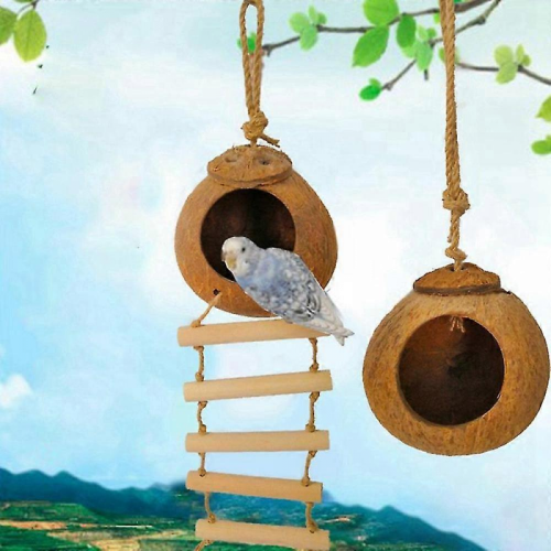 Natural Coconut Shell Bird Nest 2