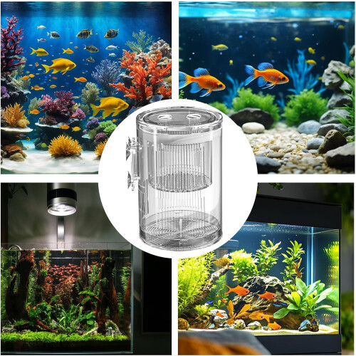 Breeder Box Clear Acrylic Hatchery Breeder For Safe Isolation Acclimation Hatching Observation Compact Durable Design 2