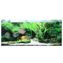 PVC-Klebstoff Meeresboden Kleine Fische