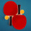 Racket Set For Beginners With Balls And Bats 8