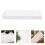 Nursery Pots Trays Sowing Tray White Pp 2set 9