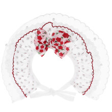 Adembenemende Kattenhalsband Met Kant En Strik Sieraad