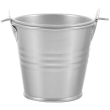 Small Tin Bucket Flower Planter Toy Container Party Favors For Kids