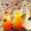 100 Pcs Skewers Bamboo Stick Fruit Appetizer Picks Disposable 11