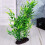 Artificial Water Grass Plastic Tank Accessories 1pcs 7